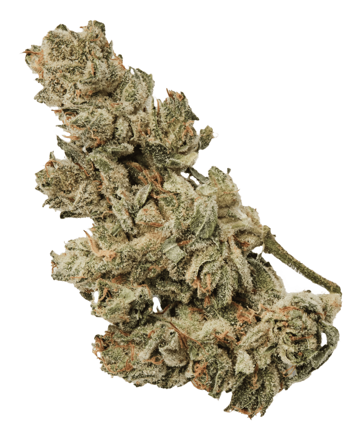 Gorilla Glue