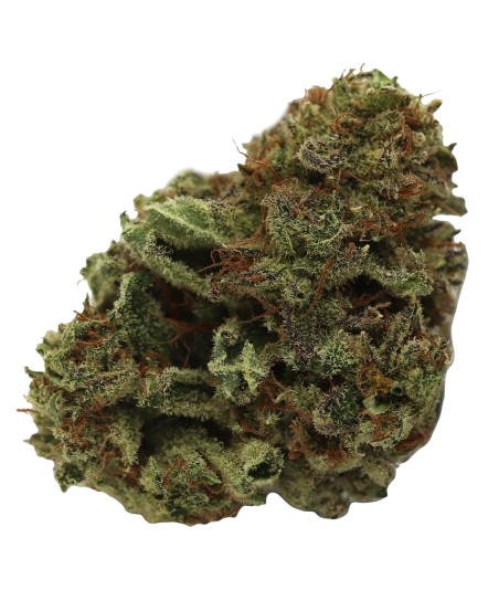Lilac Diesel