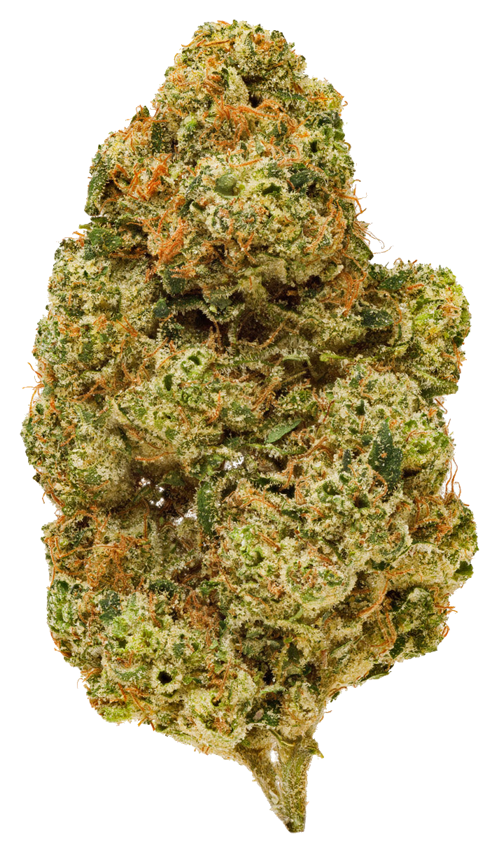 Electric Honeydew