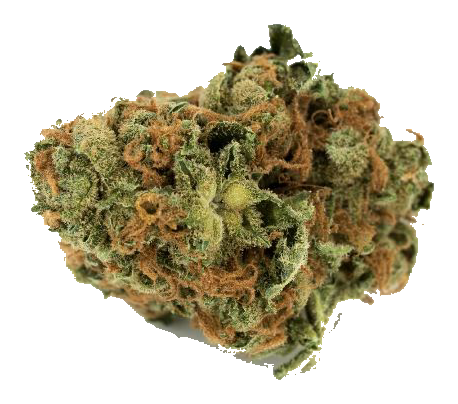 Girl Scout Cookies