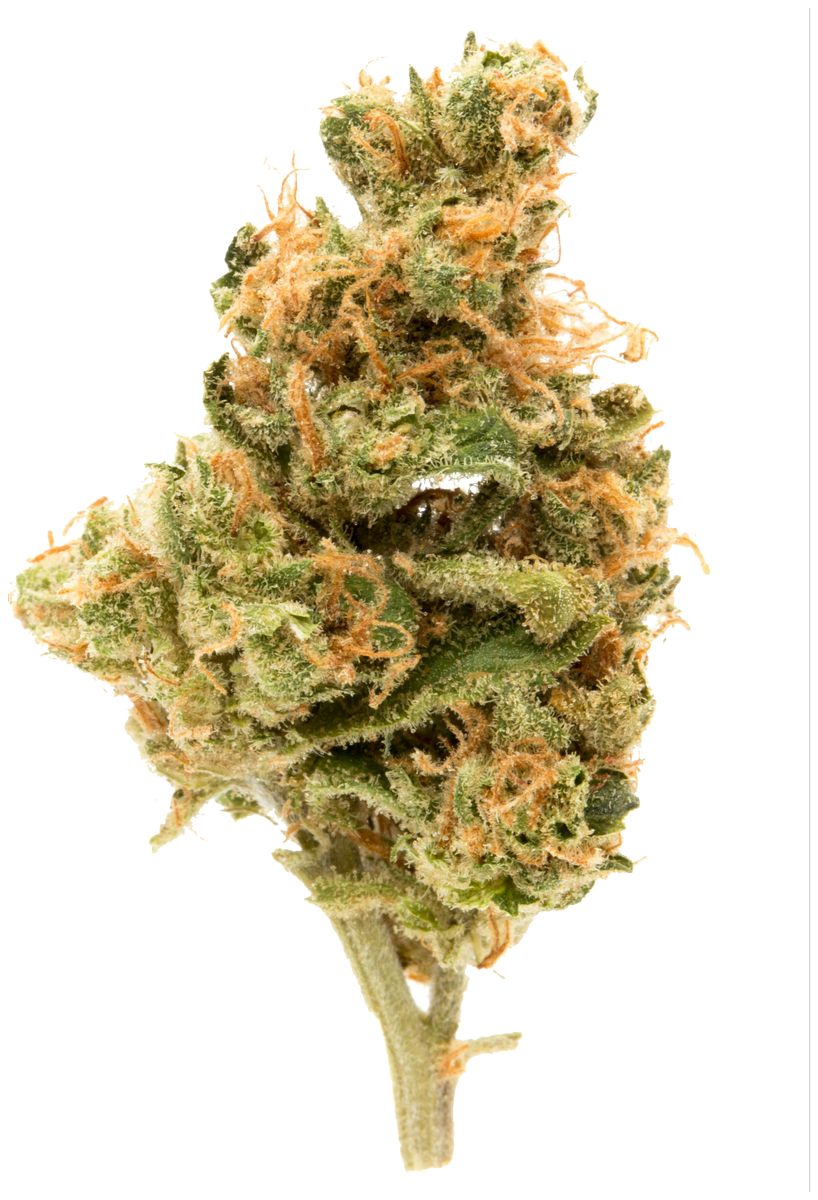 Hindu Kush