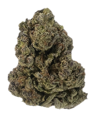 Sherbert Scotti