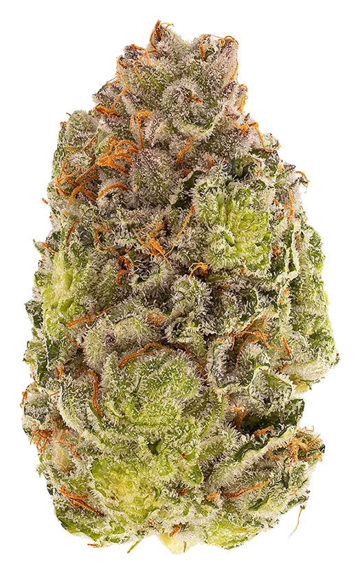 Pink Kush