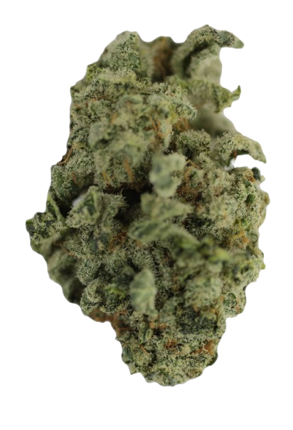 Blueberry