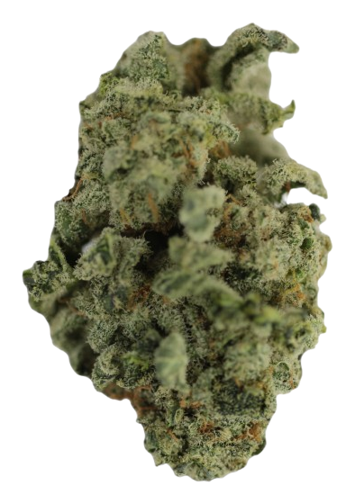 Blueberry