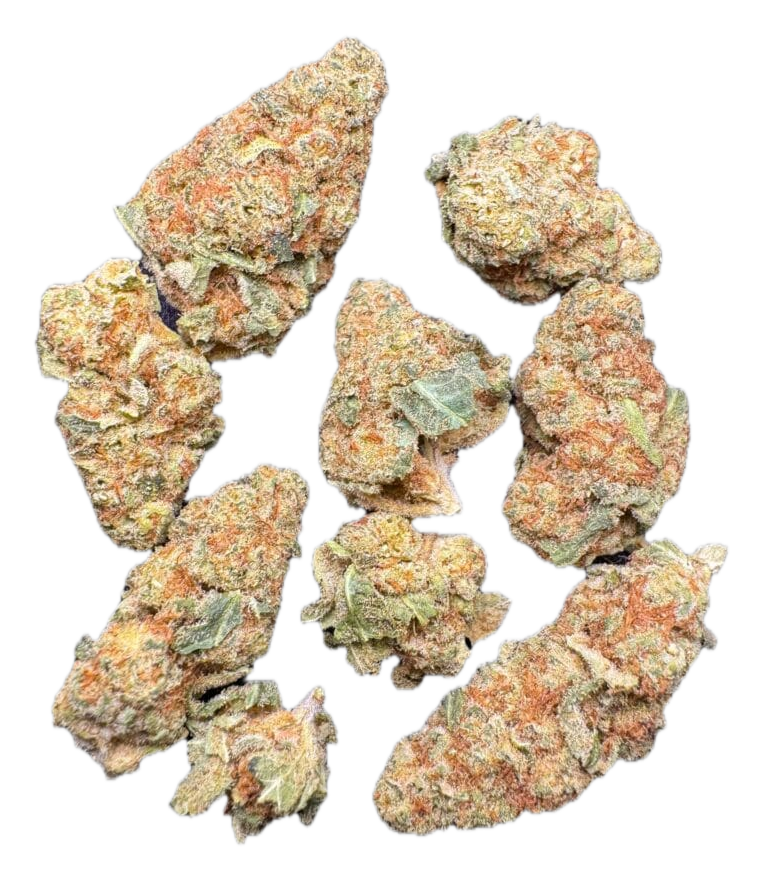 Mimosa