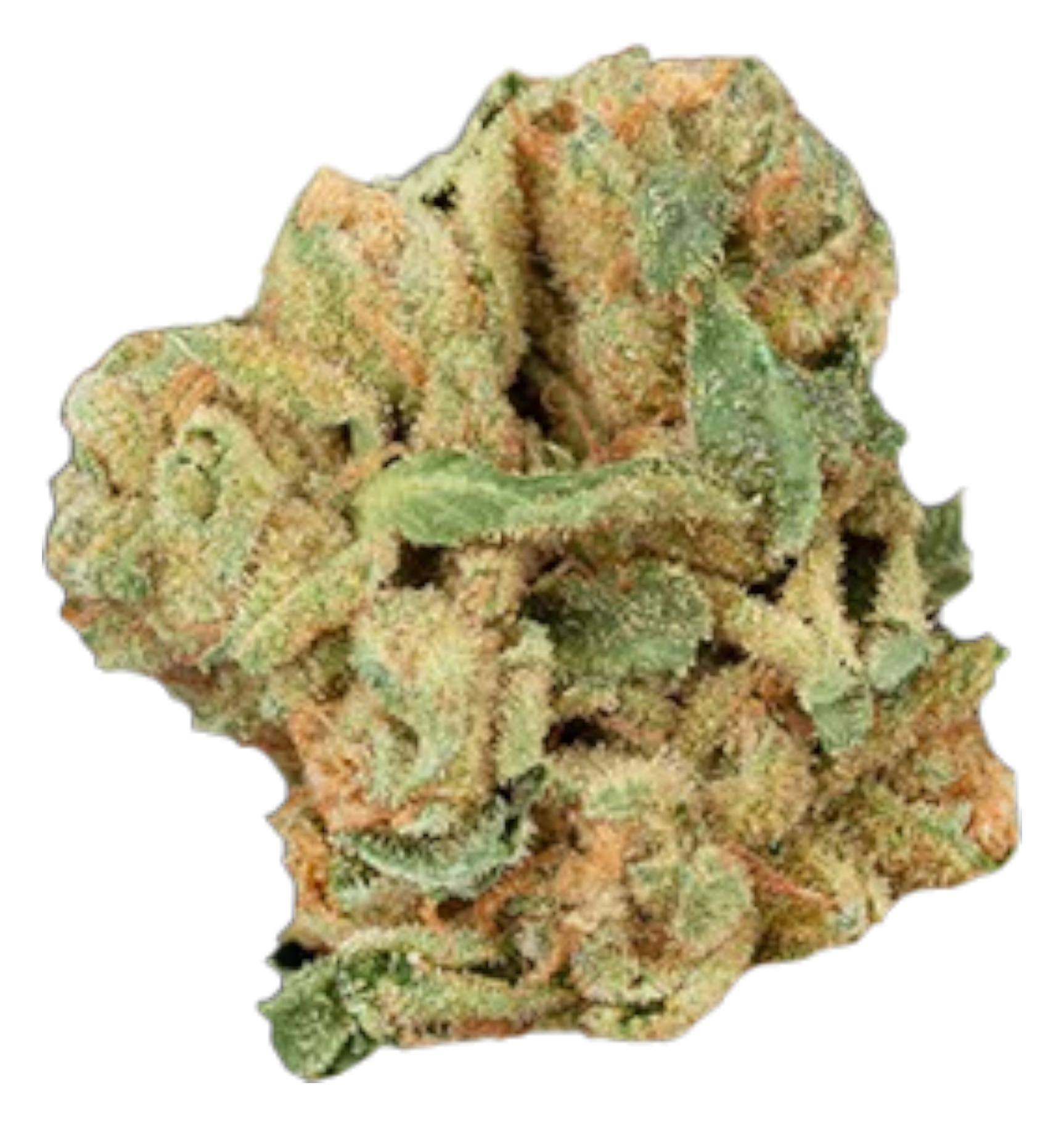 Frosted Lemon Angel