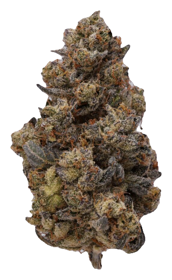 Orange Cake