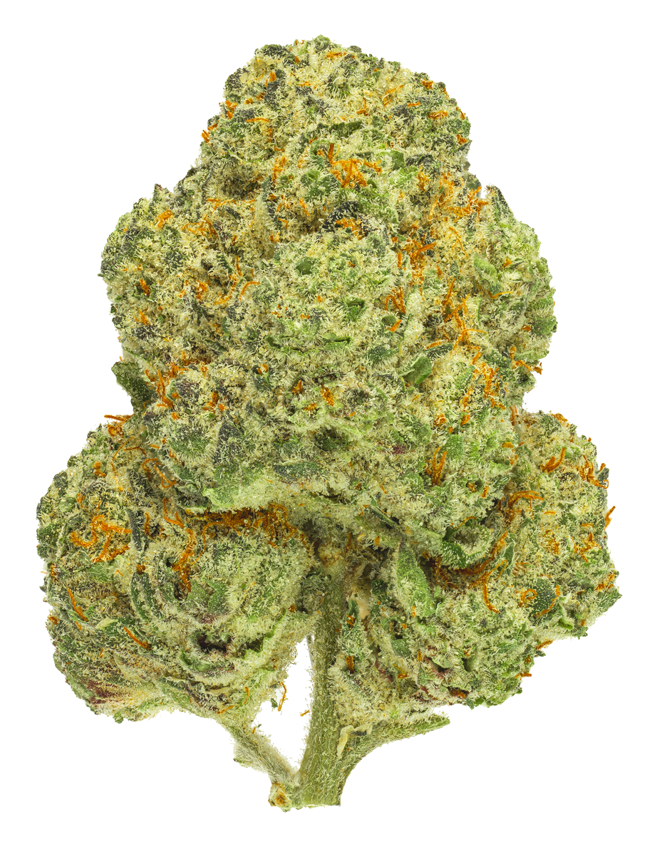 Chemango Kush