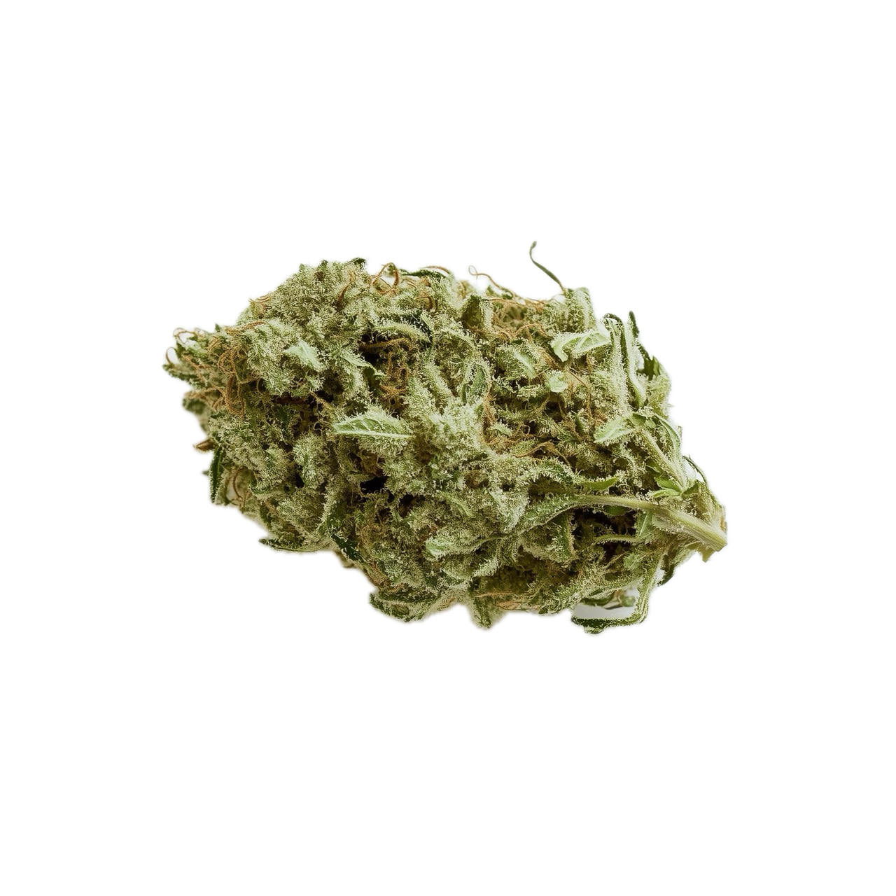 Mac 1